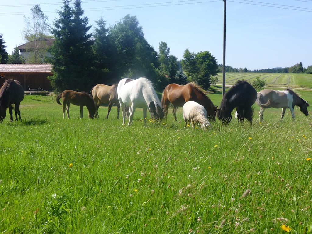 Landgasthof Zum Schwanen Hornberg Exterior foto