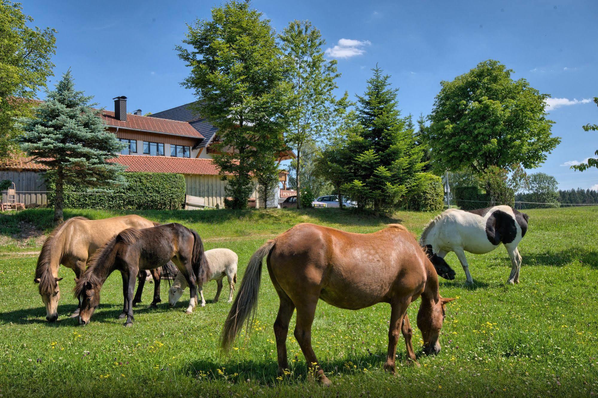 Landgasthof Zum Schwanen Hornberg Exterior foto